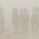 One of these horses is apparently Justify.